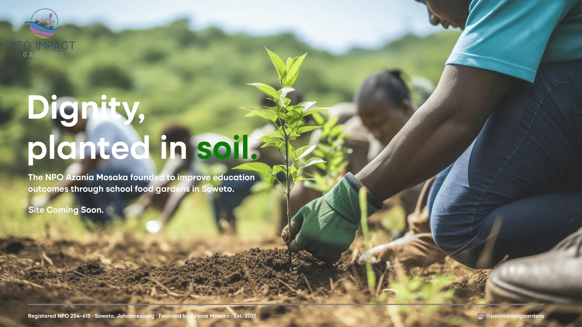 Dignity, planted in soil. The NPO Azania Mosaka founded to improve education outcomes through school food gardens in Soweto. Site coming soon. Volunteers kneel in freshly turned soil planting a young seedling.